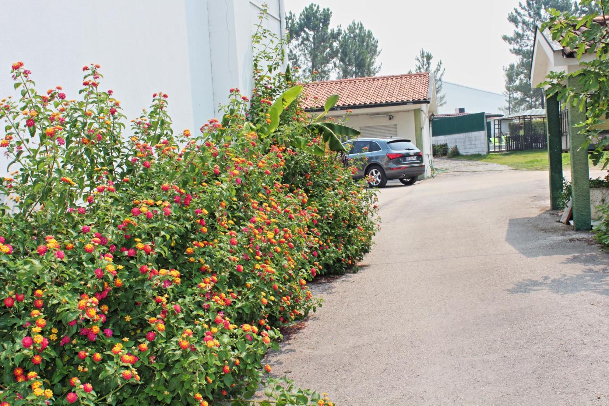 Residencial Pinho Verde Меаляда Екстериор снимка